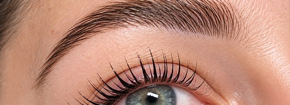 BrowLift-Large Brow Lift mise en forme des sourcils naturels